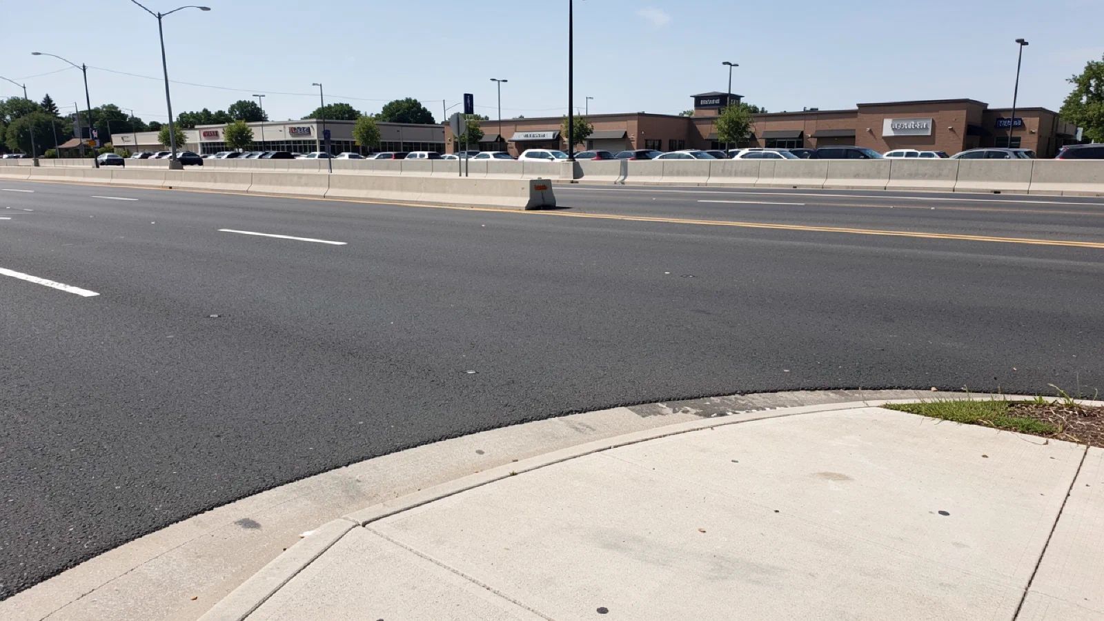 The Suburban Trap Revisited